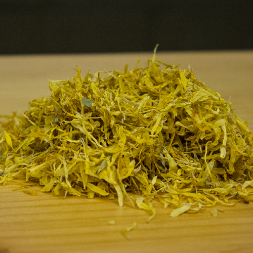 Beautiful and Powerful Calendula Flower