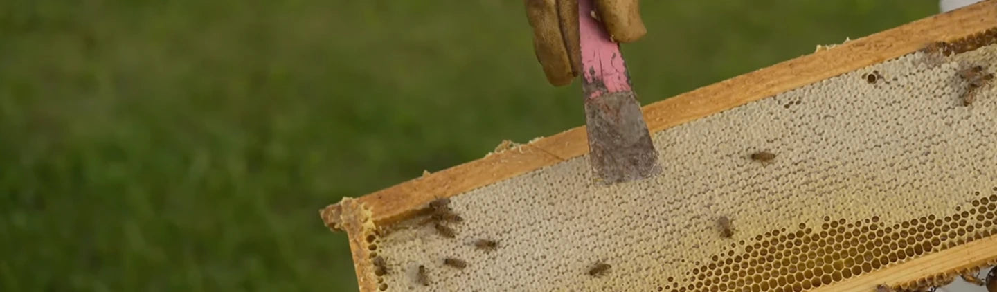 Trust your skin to the experts