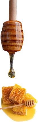 Trust your skin to the experts